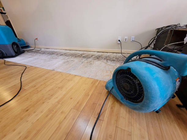 Reliable Basement Flood Cleanup contractor in Holton, KS by Hirex Water Damage