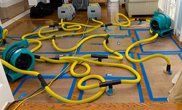 Professional Basement Flood Cleanup technician working in Holton, KS